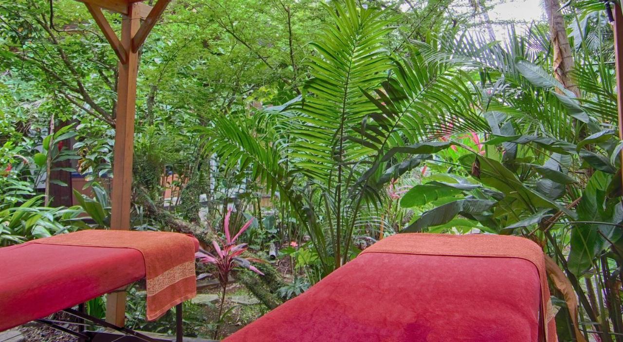 Le Parc Aux Orchidées Hébergement de vacances Pointe-Noire